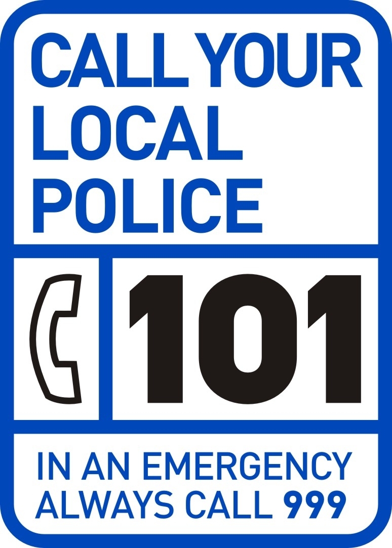 101 logo